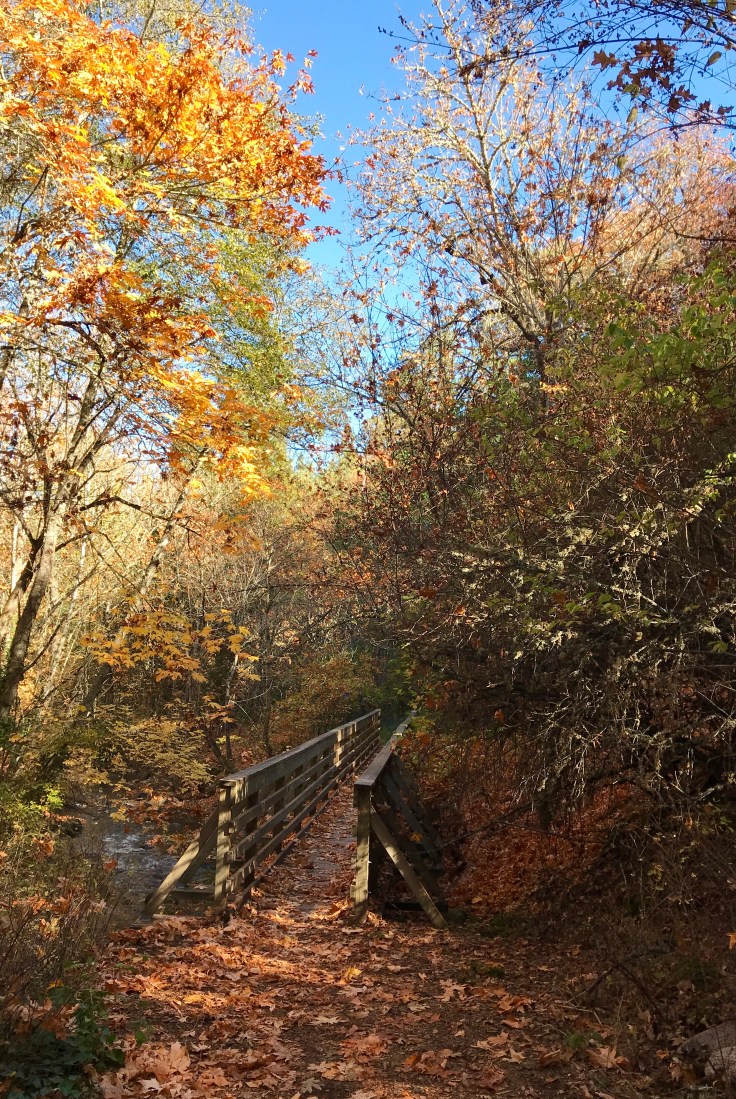 4F0A9648-F905-46C3-B74A-5662CCCE25FA