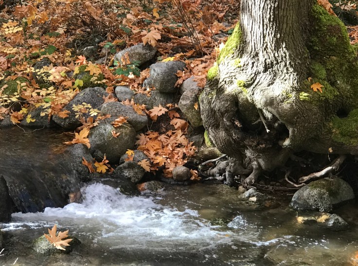 80F9C9FB-16A8-4F6F-9602-AD9AE12B640A