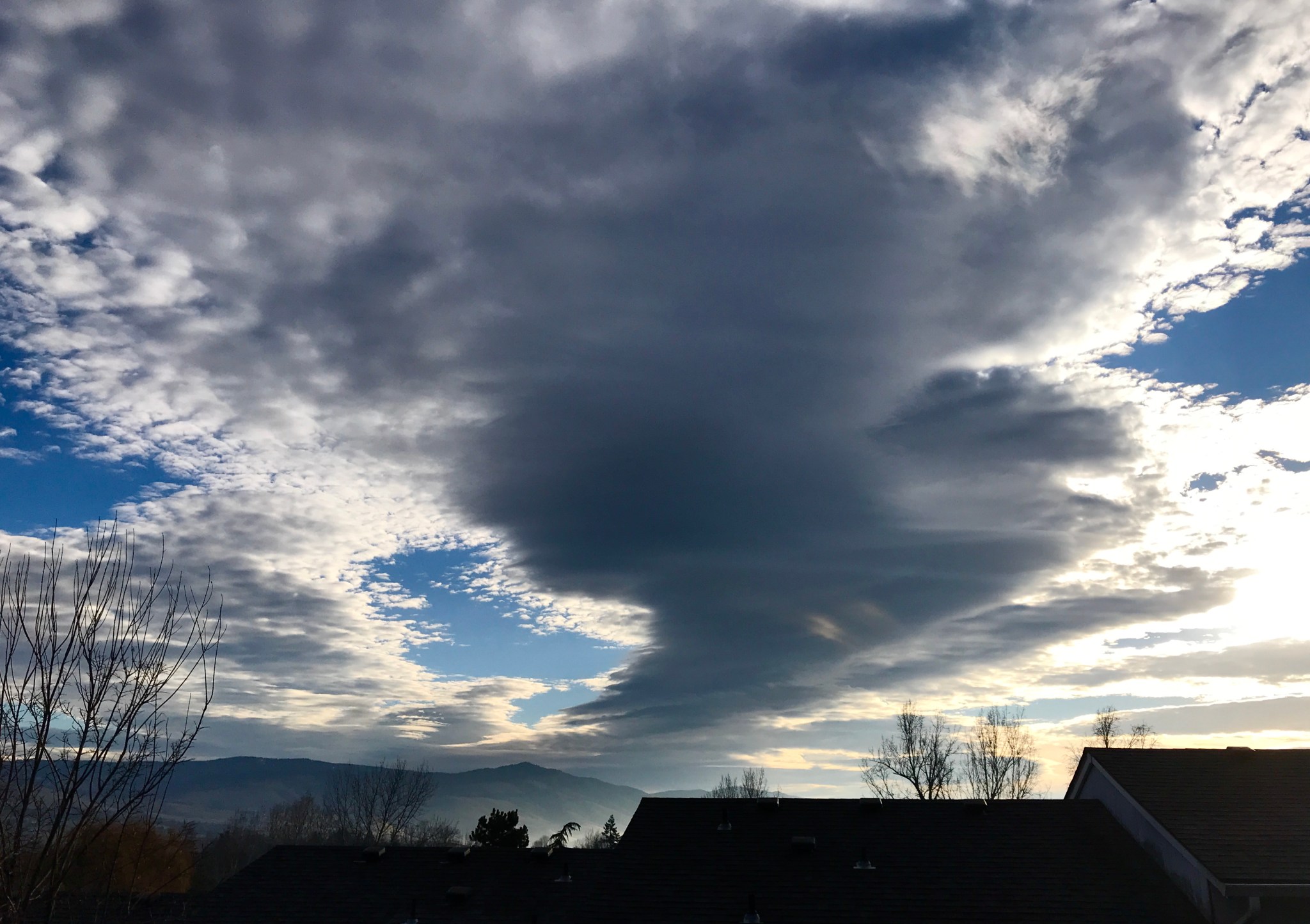 E6EE264A-FB88-4462-9953-F882AAE7D5B7