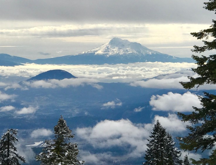 D8D4A12B-BB3E-46ED-9C9A-B617ECDE1181