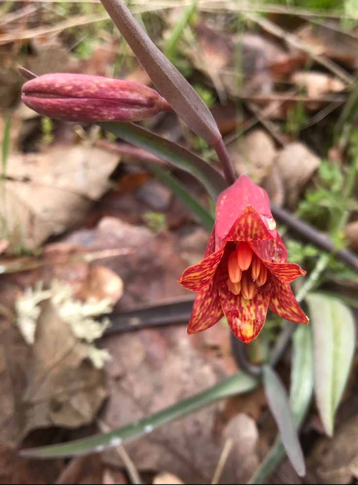 94D15A7D-1663-4366-8F87-4CA7FDBE016D