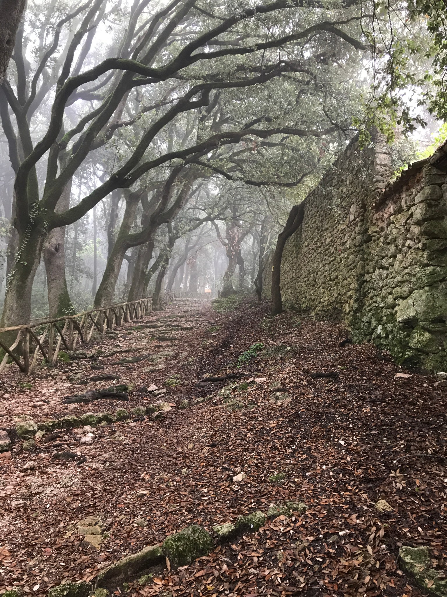 438585AC-C7E0-4726-BFEC-79589758BD77