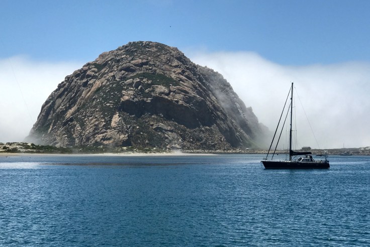 5C7D7167-C8AF-43A8-8A4B-FCC1A877A920