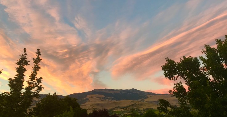 E89C5436-20F2-47AB-8A0D-066F6C620F40