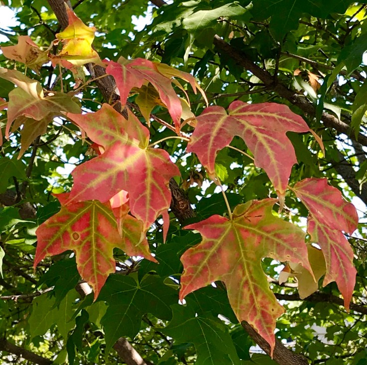 140E019E-49AB-47B7-9963-395AC5974E3D