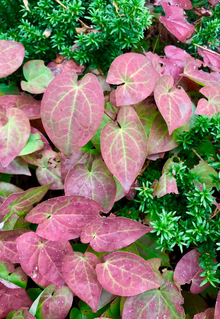 94BE4CE8-6190-43B6-A90D-87766DABC915