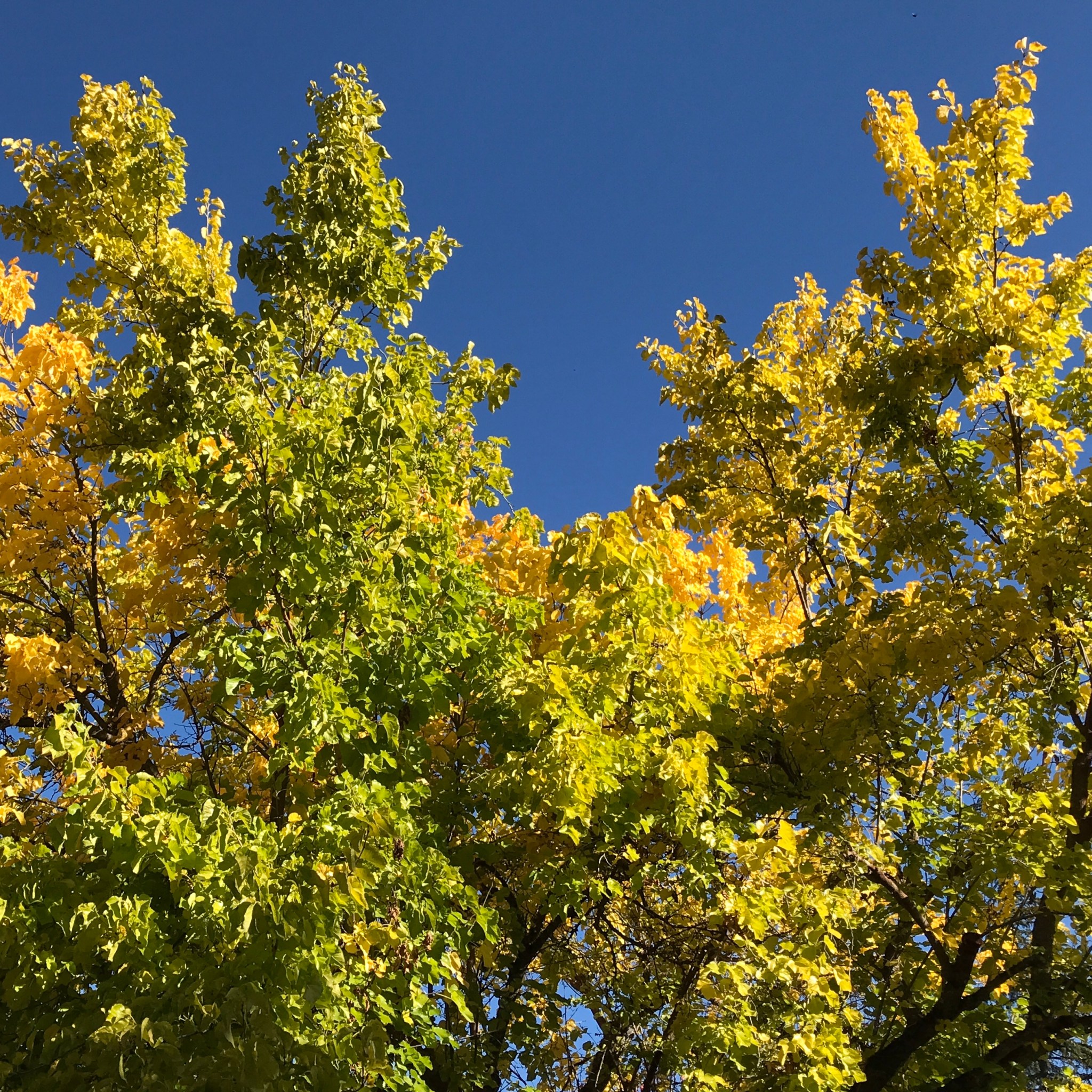 B6FC97AF-BFAF-4A69-A293-FD39FE12613E