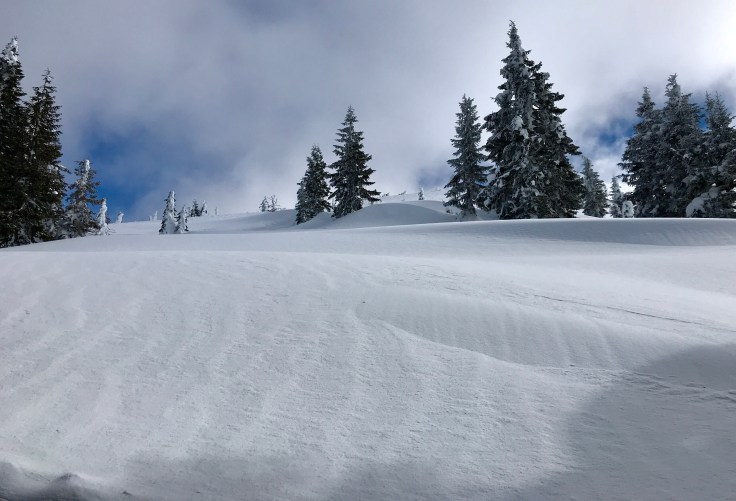 84055E12-377D-452D-BD5C-9BFC4927BC71