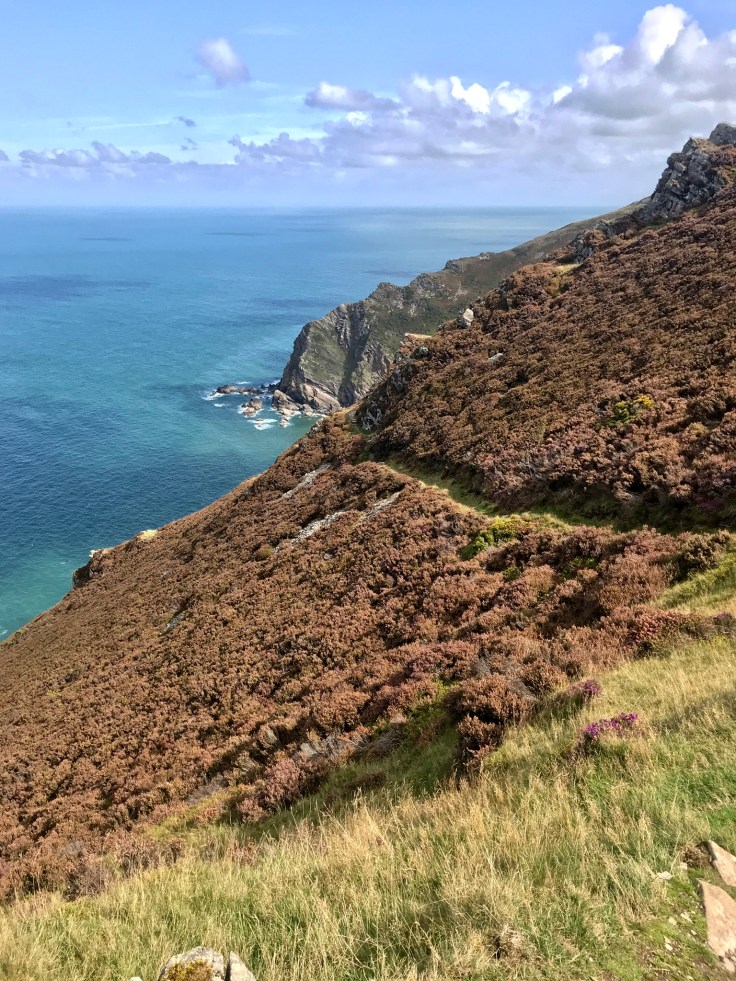 9DACEAE3-93B0-48B9-89B9-19DCE46C14BE