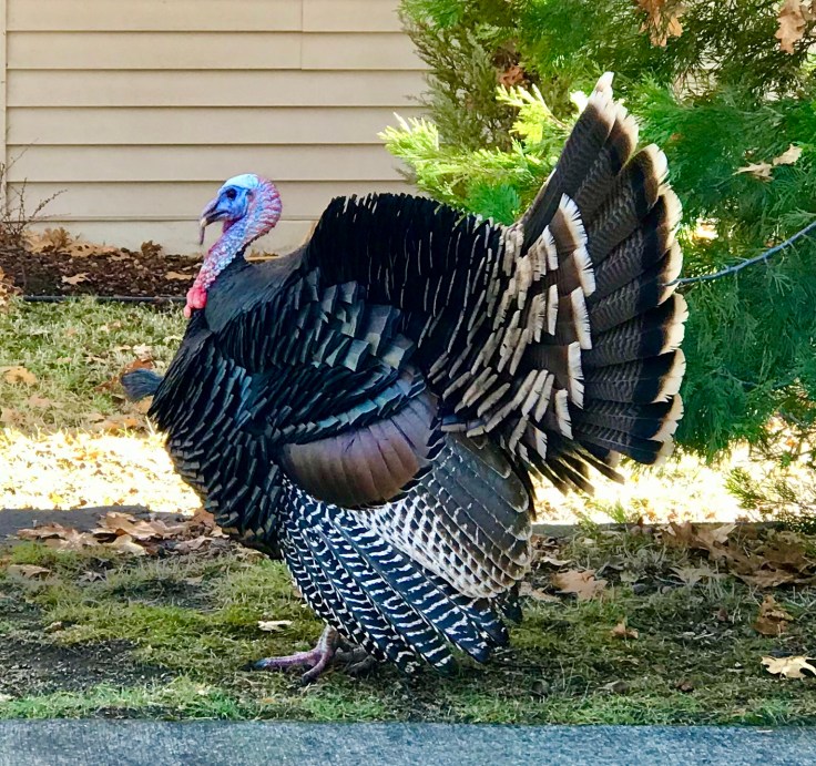 9836E739-3CDF-40CC-9971-CE2618ACB76C