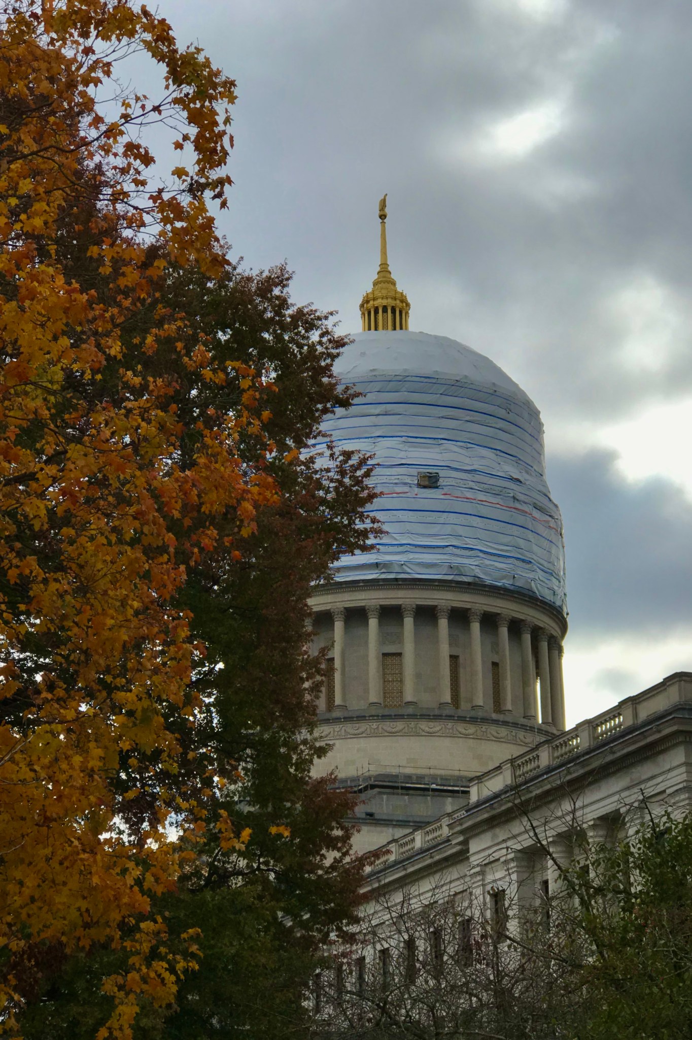 E9EDA6E1-C967-4DB7-917E-A3113F36DB40