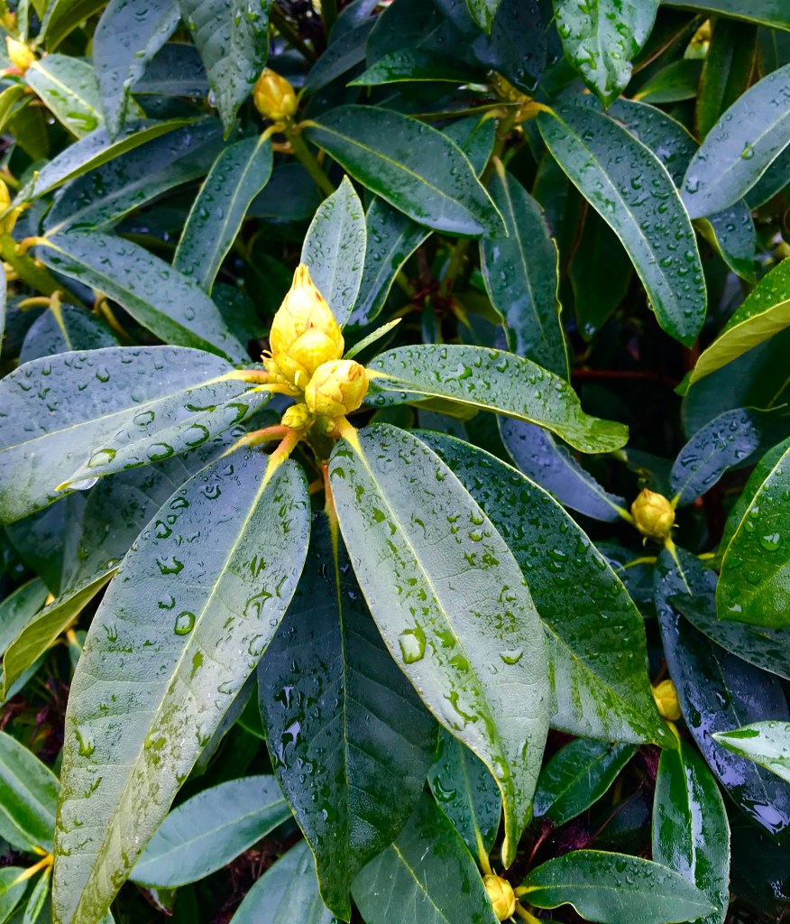 2BA6AC27-E538-4E96-BE14-EBBF99A78481