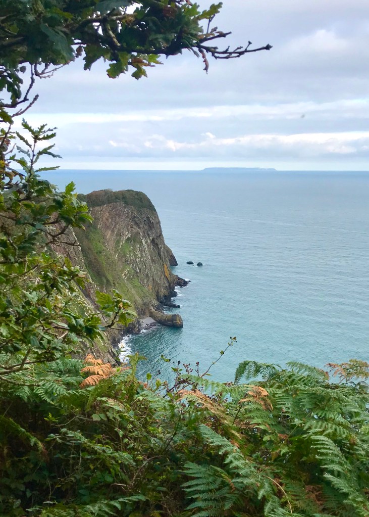 8BF05724-2BAE-4208-9280-87139C15667E