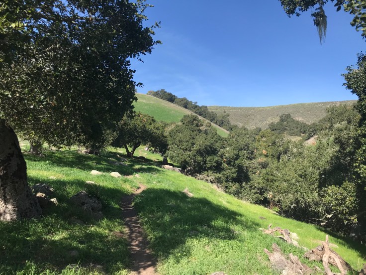 62953A89-E91D-41EC-A280-B5F89EABBE8F