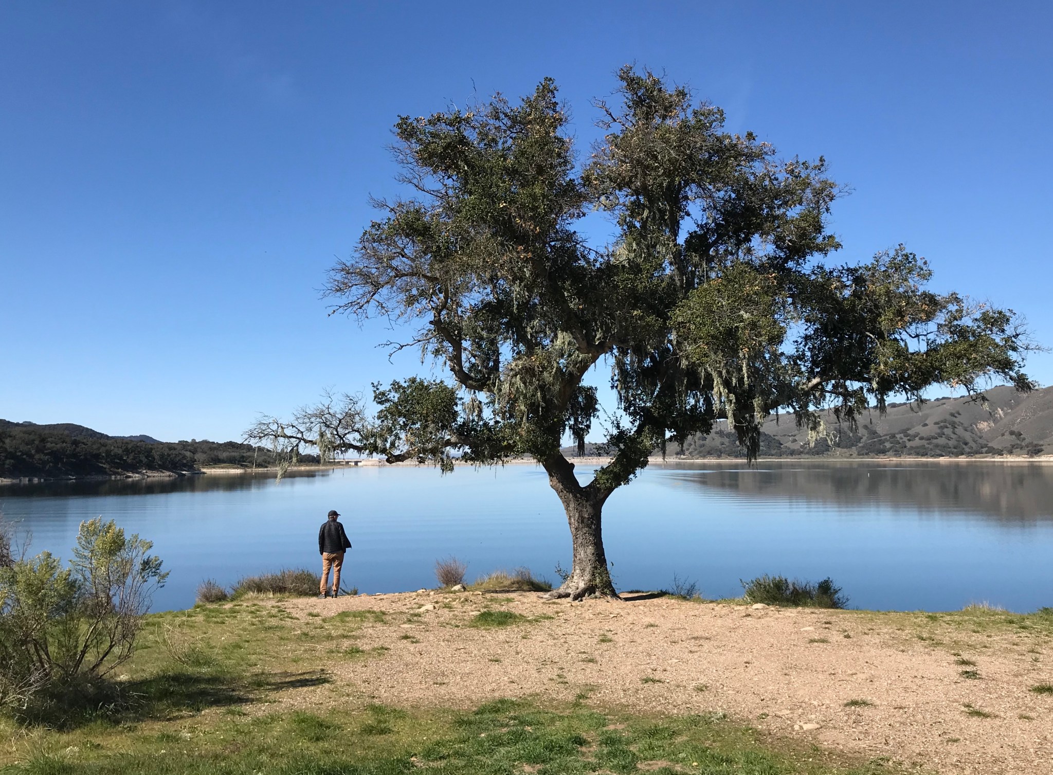 C754ADD3-A5DE-4AF0-BEA1-ED5C0D224311