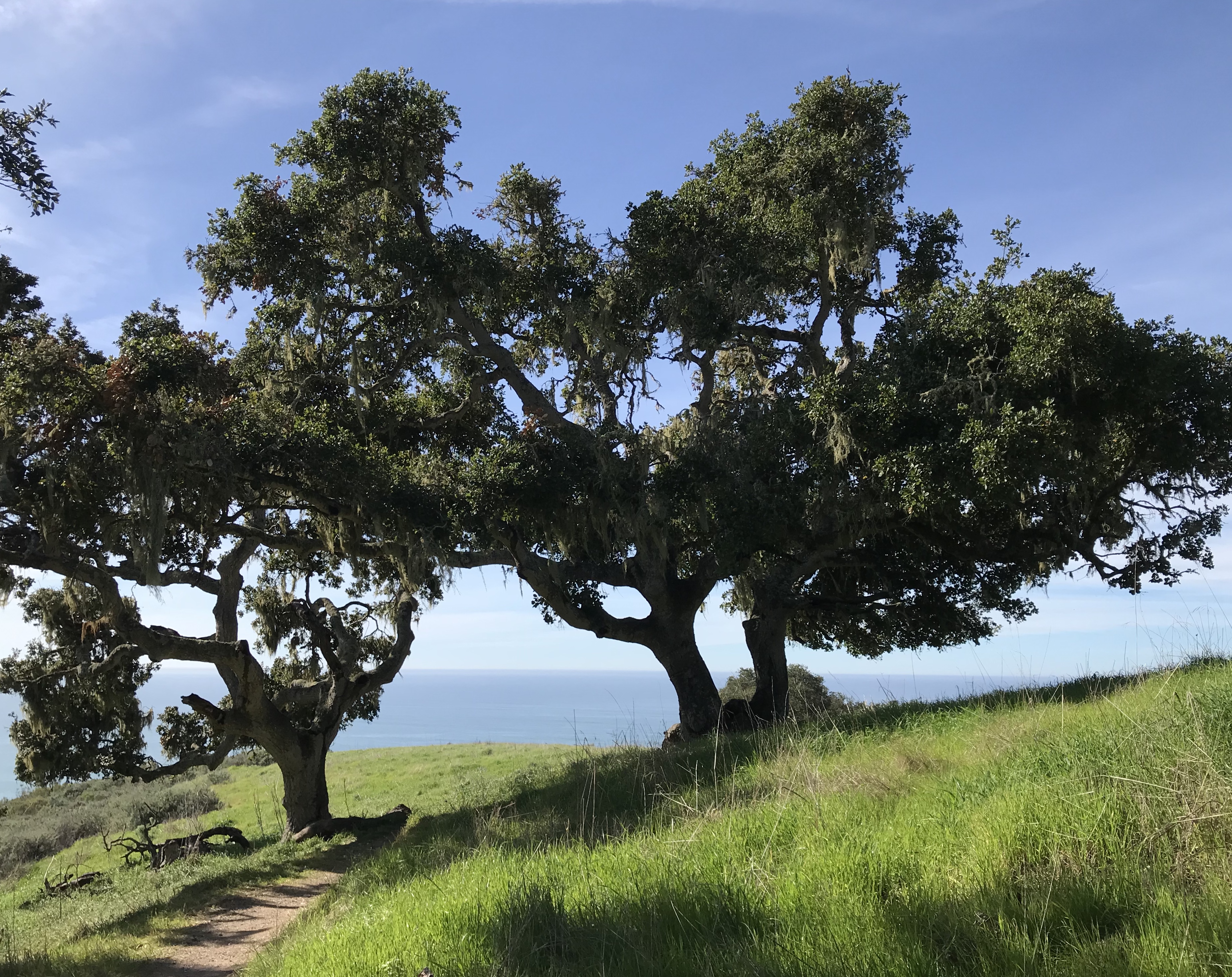 E93F9BFA-FCD5-4D43-9C89-66AF55A68B39