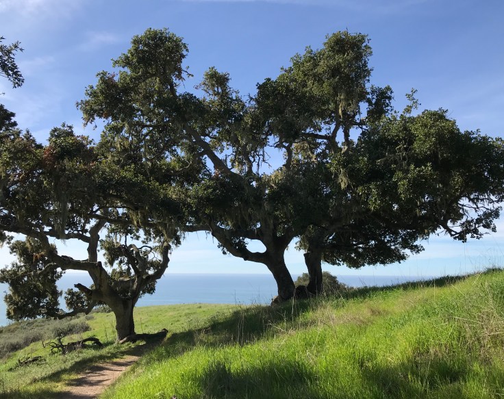 E93F9BFA-FCD5-4D43-9C89-66AF55A68B39