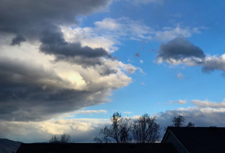 10191761-7E7B-4F8A-80A1-01802D864821