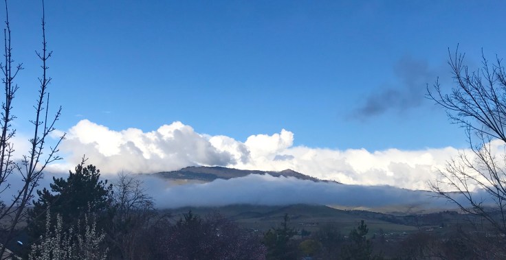 9238580A-36F2-4B8E-8EB6-6BED0F85F6B3