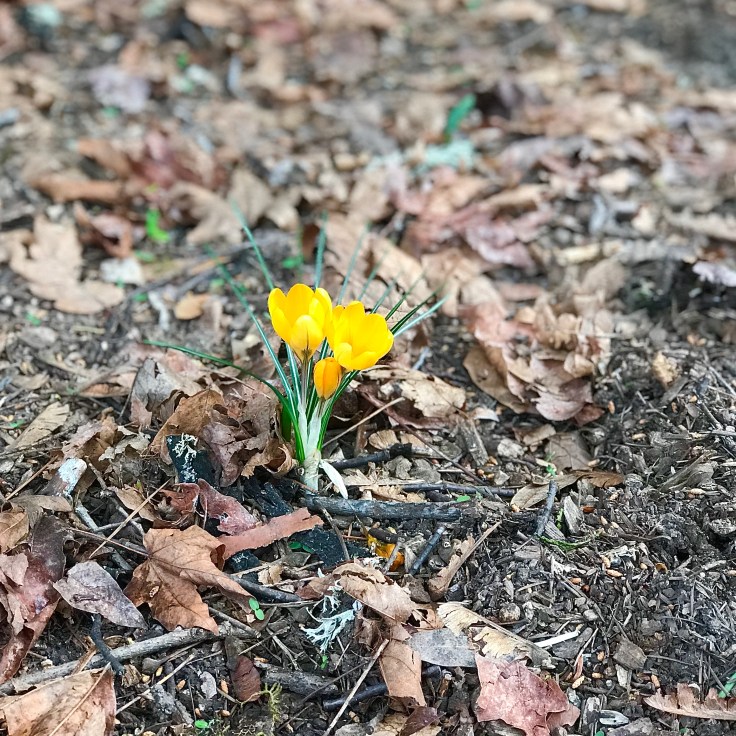 B74B48A6-6799-4B80-87BC-314711F9C5F8