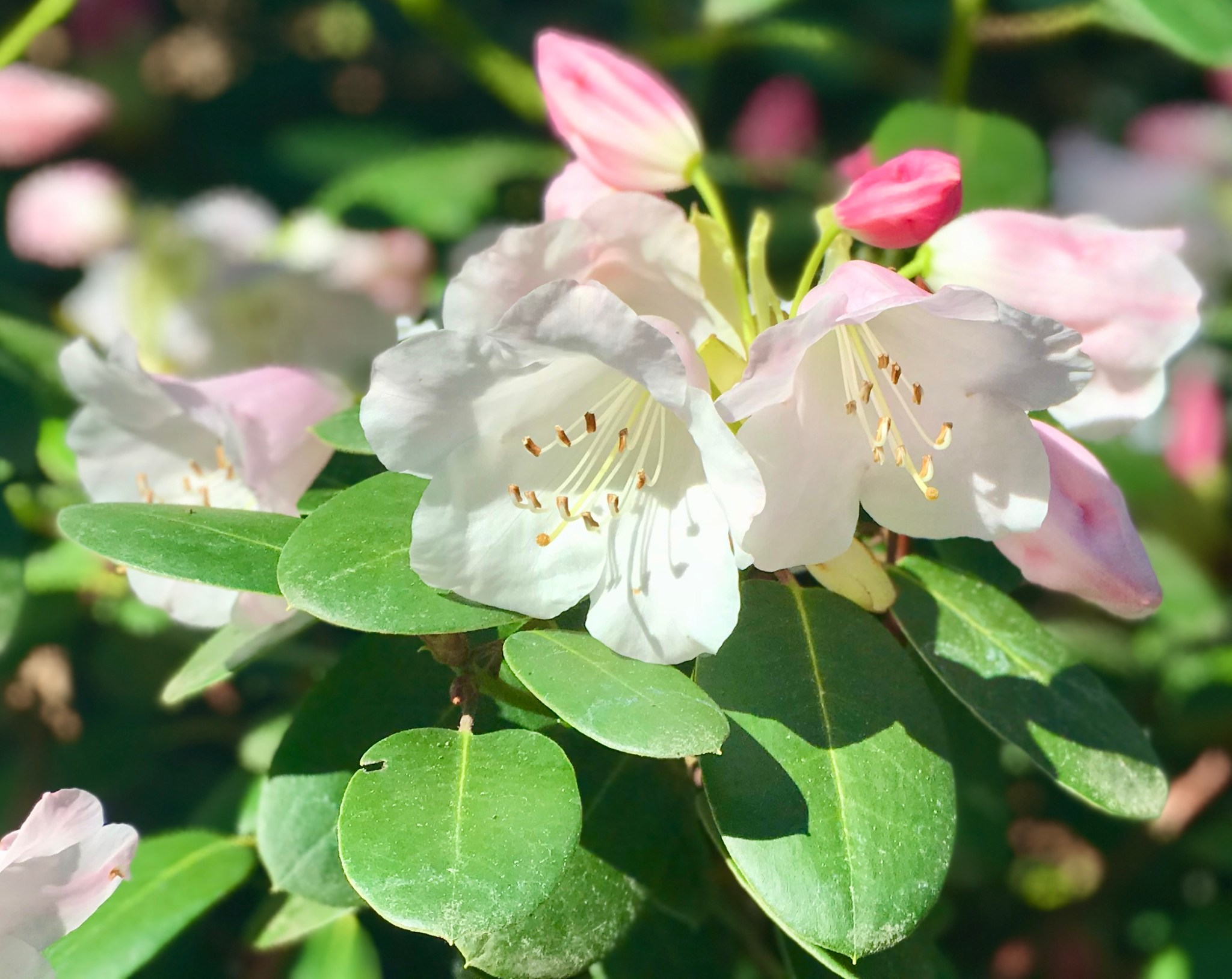 1C870834-BFB2-4DF8-A7B9-68702DF68700