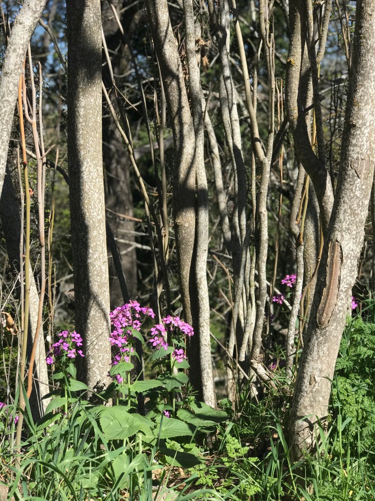 D5343052-5266-4D09-970A-9CB2D4B49FF5