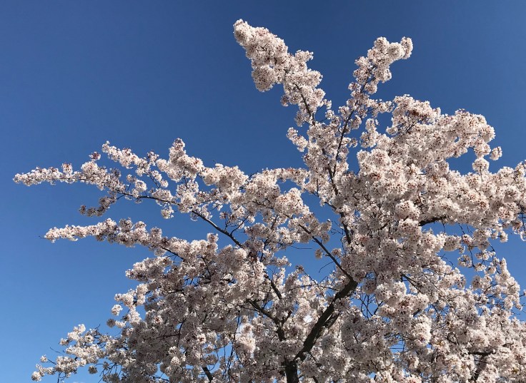 EE50B042-3A54-4AF7-881D-1F0445484F75